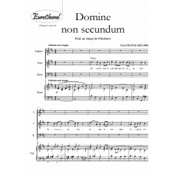 DOMINE NON SECUNDUM