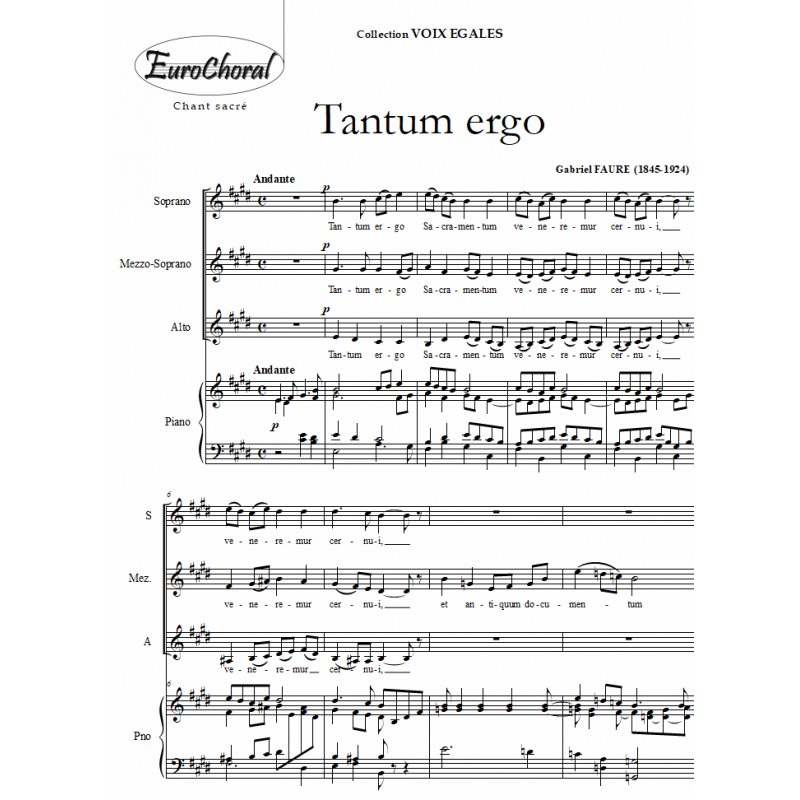 TANTUM ERGO