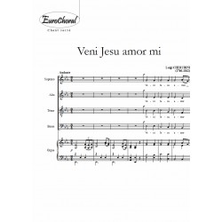 VENI JESU AMOR MI